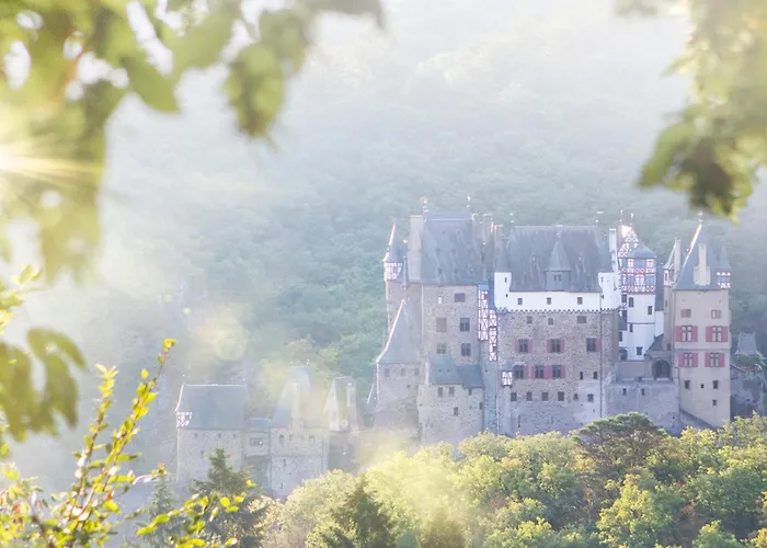 Hébergement de vacances Olive Tree