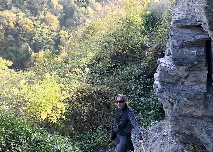 Hébergement de vacances Olive Tree Bullay