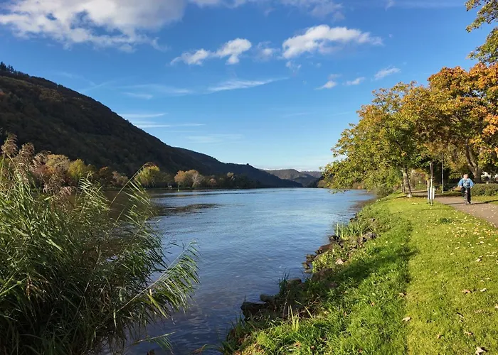 Hébergement de vacances Olive Tree *