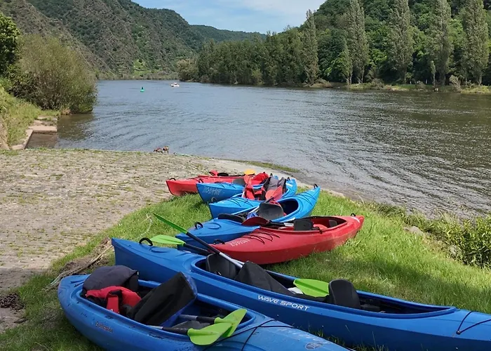 Hébergement de vacances Olive Tree *